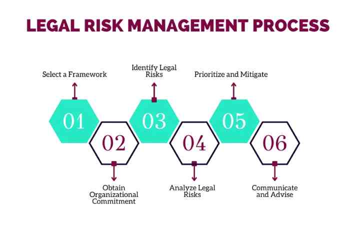 Business Legal Advanced Guide_ Navigating Complex Legal Problems and Business Risks